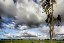 0-4!前中超冠军被“打懵”,后防失误送大礼,王钰栋进中超首球.